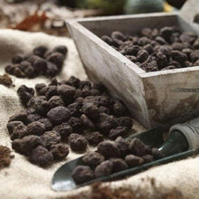 Load image into Gallery viewer, Anemone "De Caen" Coronaria mix - Terrace Garden France - #tag1# -