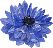 Load image into Gallery viewer, Anemone Fullstar Blue - Terrace Garden France - #tag1# - Anemone Fullstar Blue
