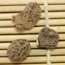 Load image into Gallery viewer, Anemone Fullstar Strawberry