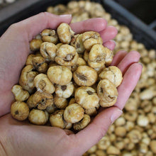 Load image into Gallery viewer, Fritillaria meleagris mix