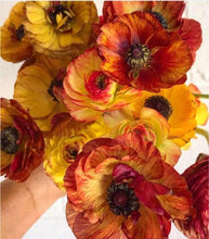 Load image into Gallery viewer, Ranunculus Picoté "Café au Lait"