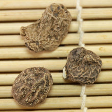 Load image into Gallery viewer, Anemone Jerusalem Blue-White