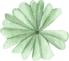 Load image into Gallery viewer, Oxalis Adenophylla