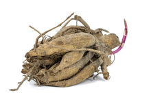 Load image into Gallery viewer, Dahlia "Seduction" tuber - Terrace Garden France