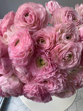 Load image into Gallery viewer, Ranunculus Romance "Maillane" - Terrace Garden France