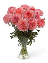 Load image into Gallery viewer, Ranunculus Romance "Nohant" - Terrace Garden France