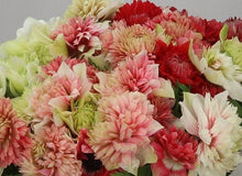 Load image into Gallery viewer, Anemone Fullstar Strawberry - Terrace Garden France