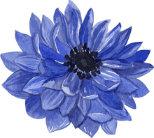 Load image into Gallery viewer, Anemone Fullstar Blue - Terrace Garden France - #tag1# - Anemone Fullstar Blue
