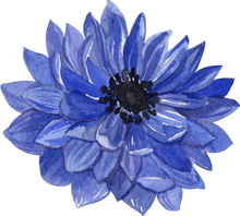 Load image into Gallery viewer, Anemone Fullstar Blue
