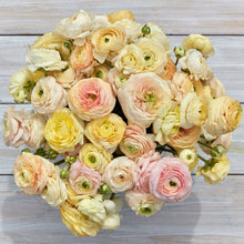 Load image into Gallery viewer, Ranunculus Amandine Pastel Wedding Mix
