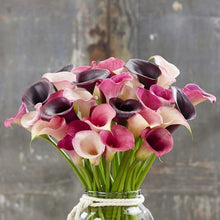Load image into Gallery viewer, Calla Lily &quot;Pastels Mix&quot;
