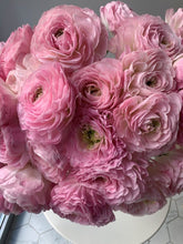 Load image into Gallery viewer, Ranunculus Romance &quot;Maillane&quot;
