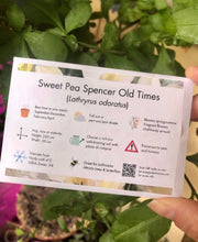 Load image into Gallery viewer, Sweet Pea &quot;Spencer Old Times&quot;
